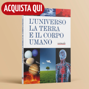 Universo Terra Corpo umano 